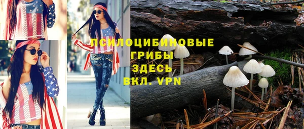 мет Михайловск
