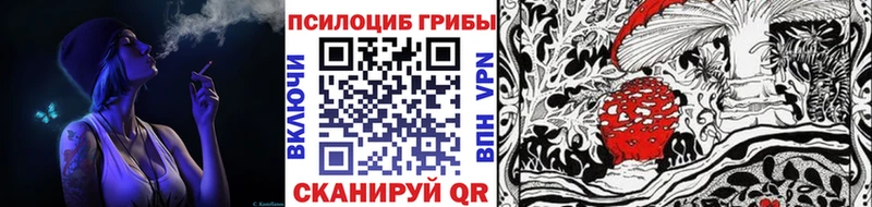 Псилоцибиновые грибы Psilocybine cubensis  купить наркотики сайты  Партизанск 